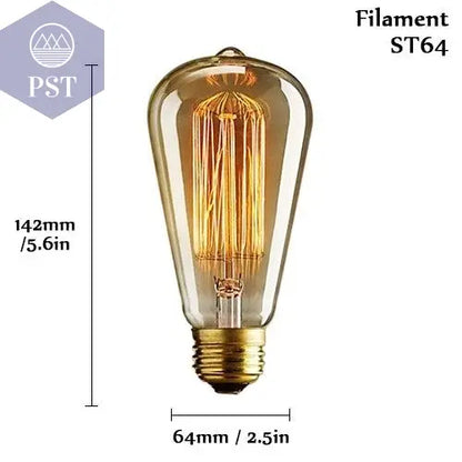 Edison Bulb E27 220V 40W ST64 A19 T45 G80 G95 G125 Incandescent Filament Bulb Lighting Retro Edison Light Bulb       PST PS Tradings