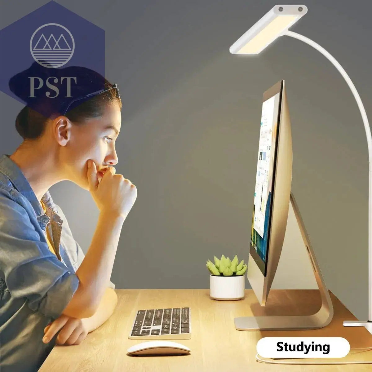 LED Desk Lamp for Office Home, Eye-Caring Desk Light Lamp with Stepless Dimming Adjustable Flexible Gooseneck Adjustable Light - Property & Safety Tradings